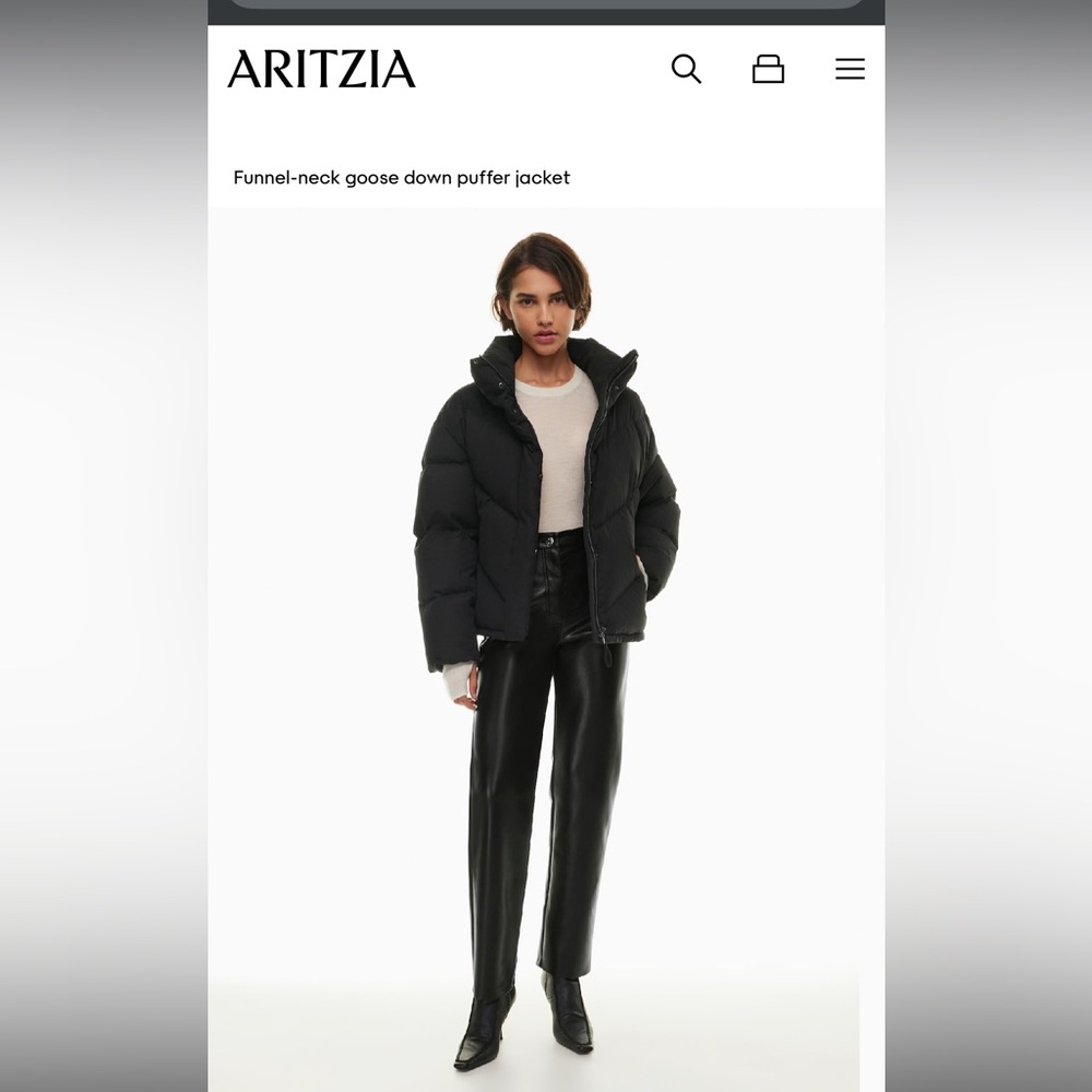 Aritzia Wilfred Cloud Puffer